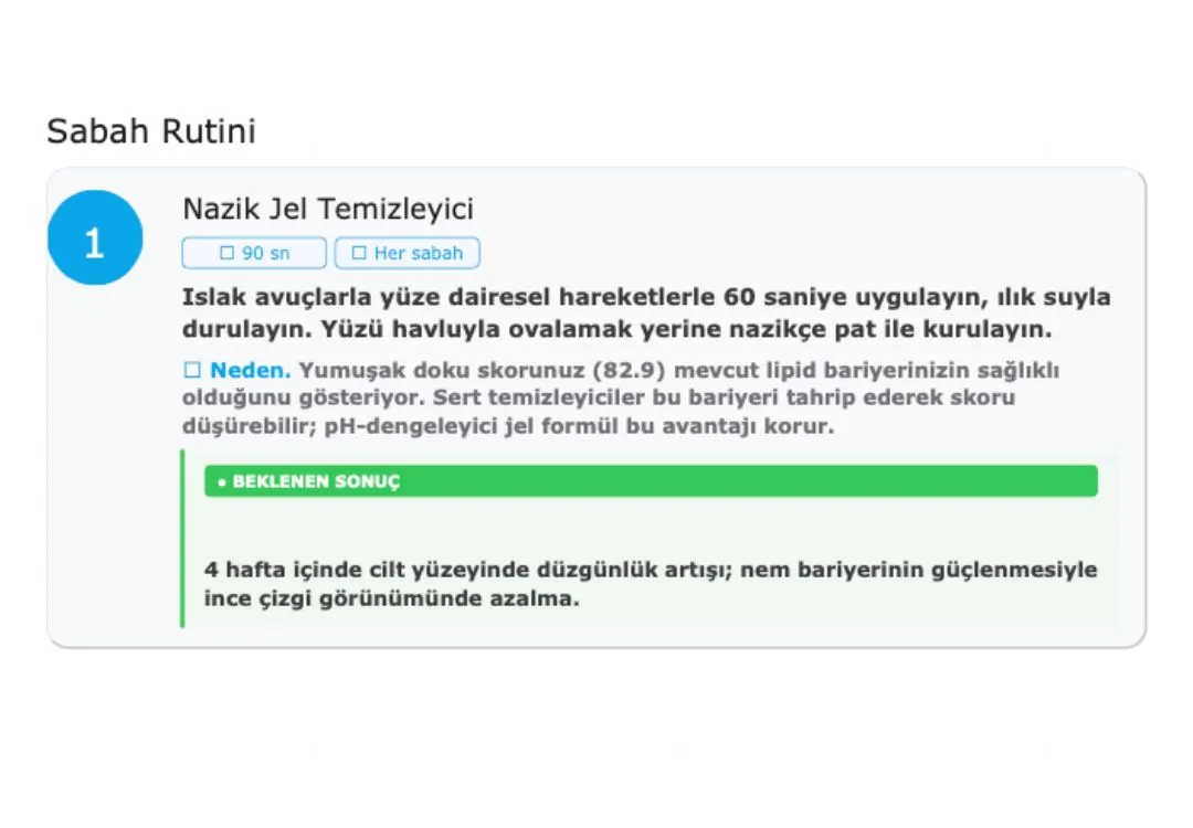ALTERNATİFLER