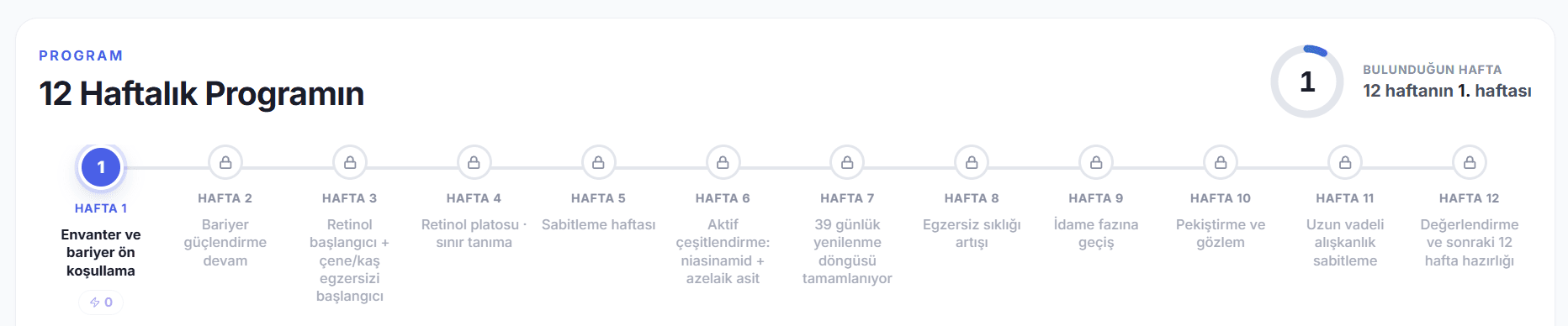 12 haftalık program şeridi — hafta hafta temalar